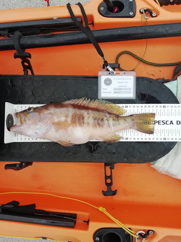 Fish Measure Picture